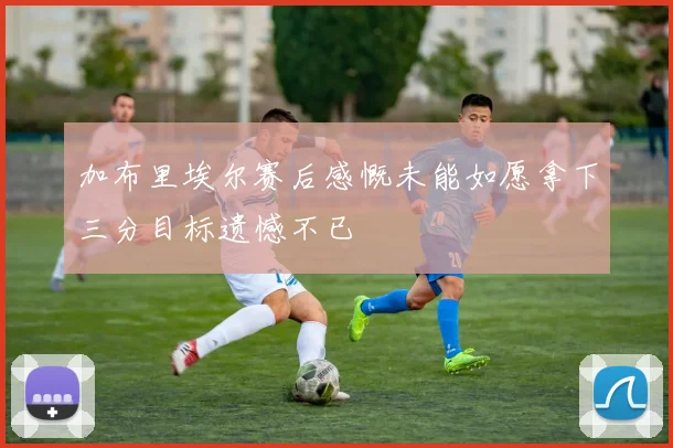 加布里埃尔赛后感慨未能如愿拿下三分目标遗憾不已